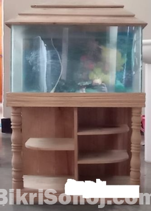 অ্যাকোয়ারিয়াম/Aquarium